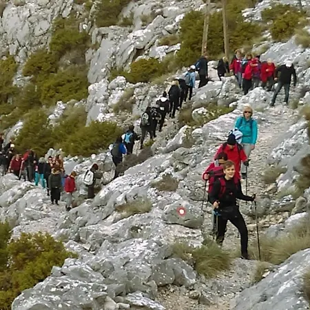 Rose By The & Tennis Courts * ספליט